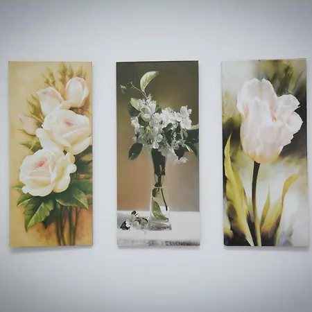 Apartment Nikolina Vrnjačka Banja