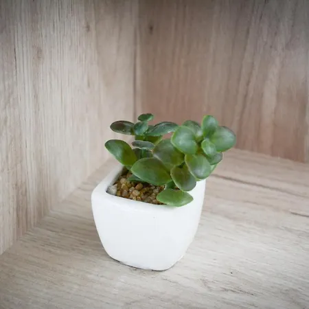 Nikolina Apartment *