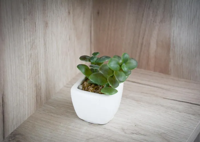 Nikolina 아파트 *